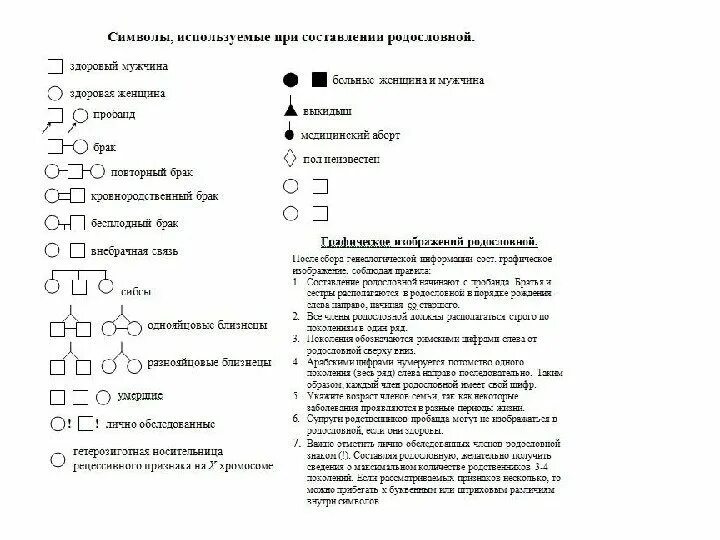 Условные обозначения в генеалогическом древе