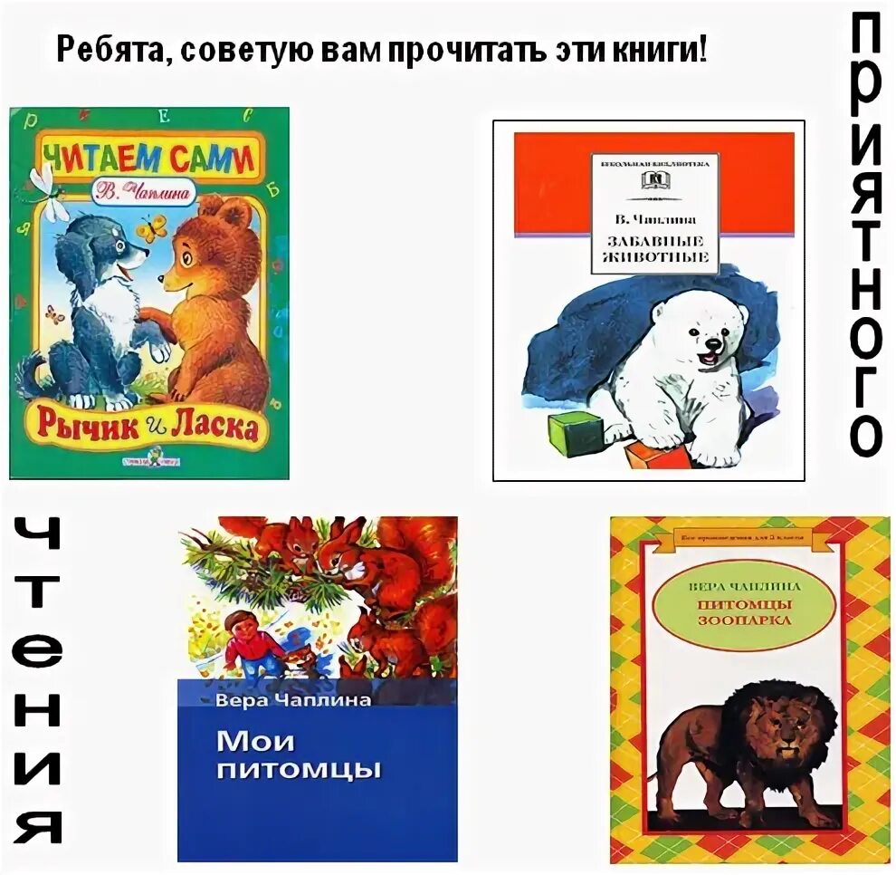 Дневник медвежонка читательский дневник