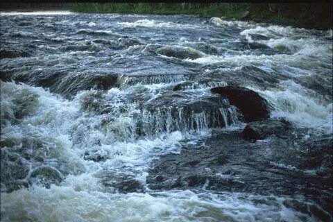 Водный фонд