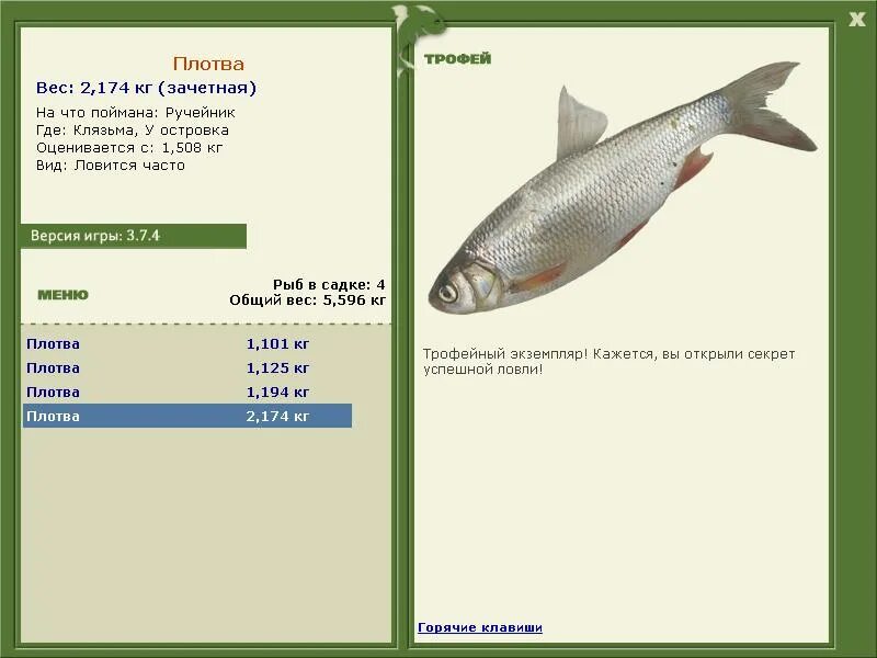 Плотва вес. Карась серебряный хищник или нет. Плотва вес. Русская рыбалка 3 клязьма густера. Плотва вес.