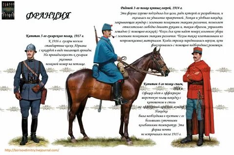 Мантия кавалериста 5 букв сканворд