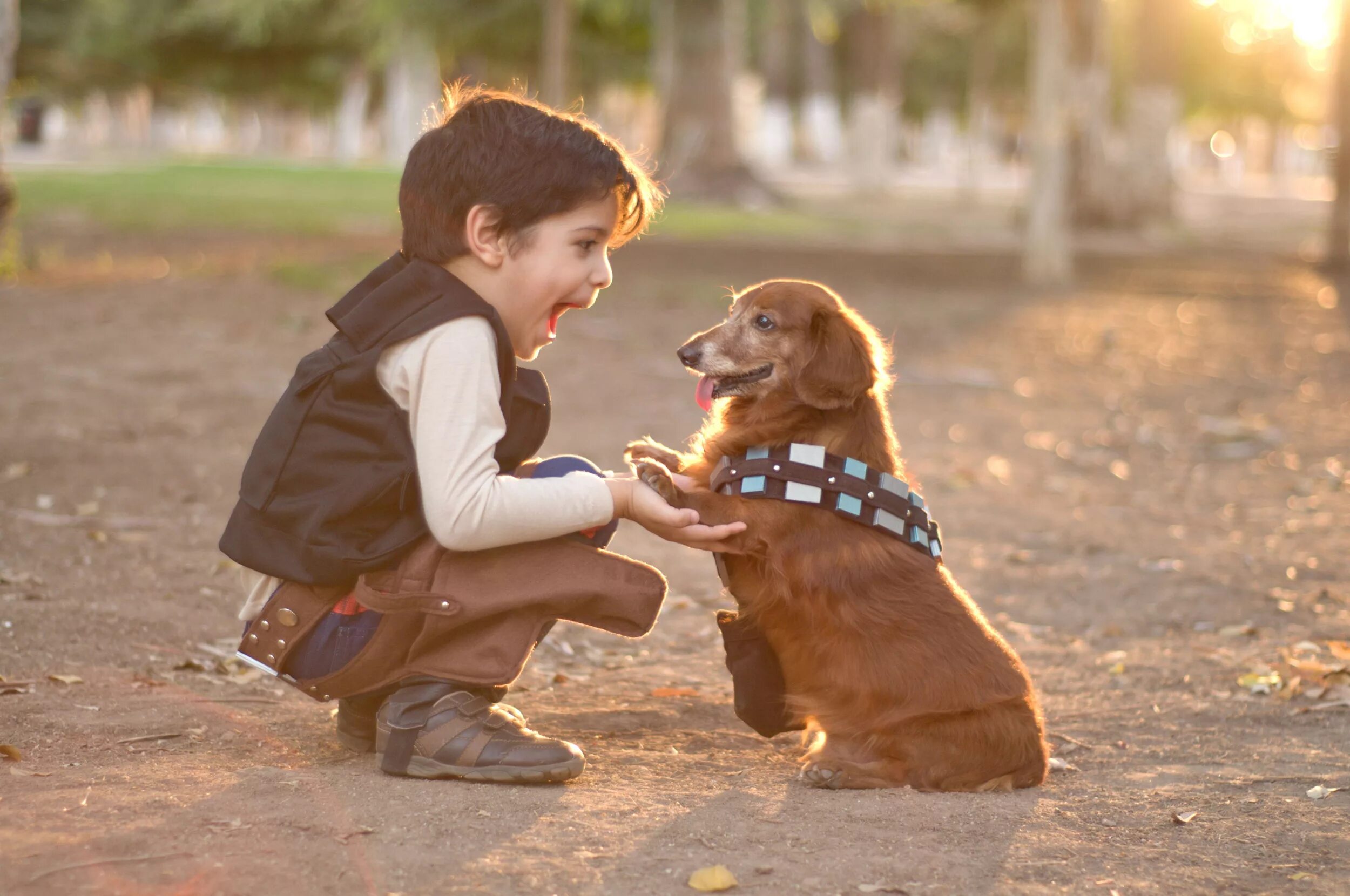 Собака верный друг человека почему ставится. Мальчик с собакой. Дети с животными. Собака друг человека. Собака для детей.
