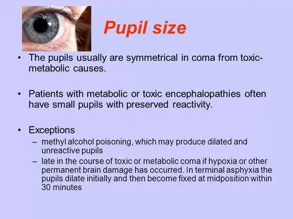Pupil транскрипция на русском