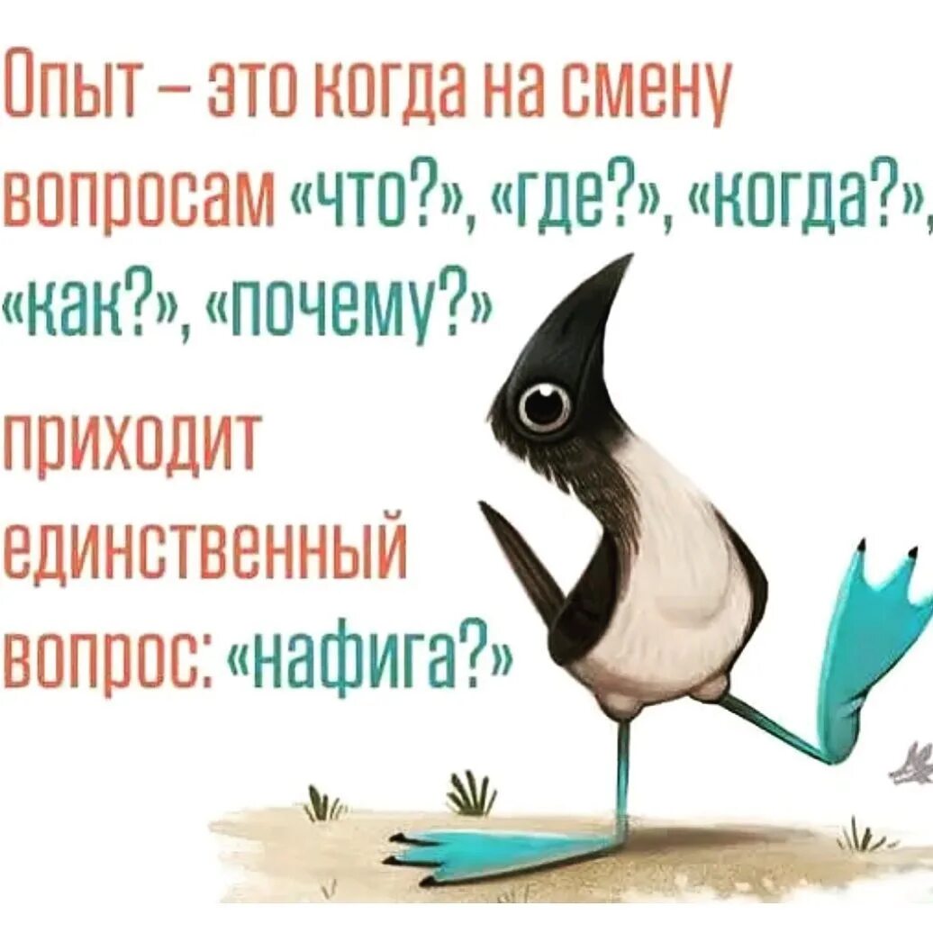 На вопрос почему не пришел. Опыт это когда. Опыт. Опыт это когда на смену.