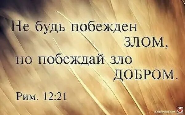 Злые не любят добрых. Злые не любят добрых