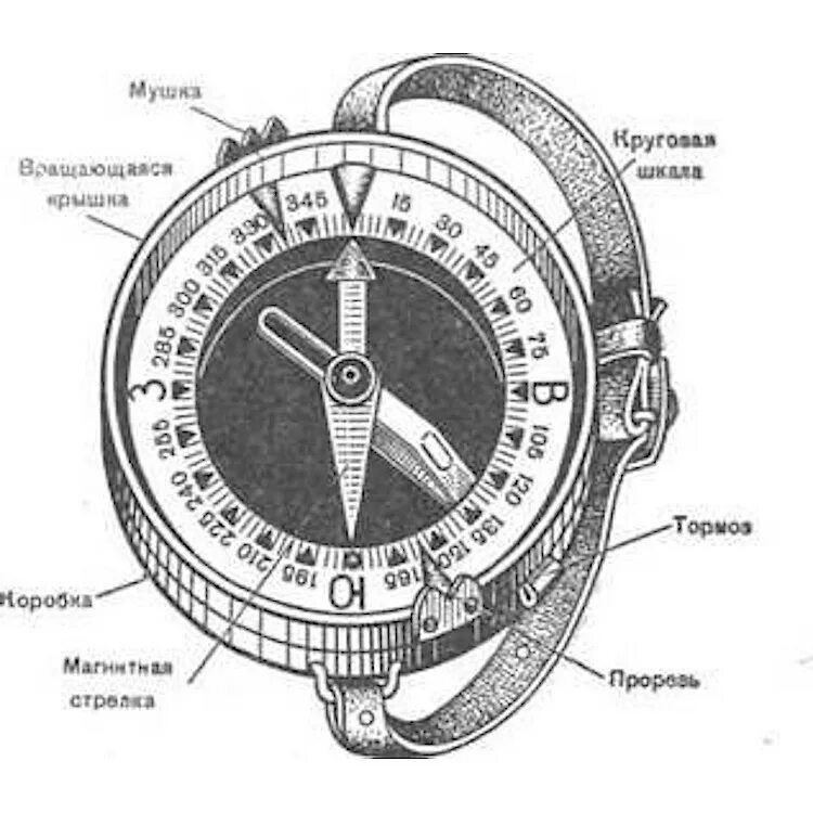 Технические характеристики компаса. Магнитный компас чертеж. Строение компаса. Компас Адрианова. Циферблат компаса.