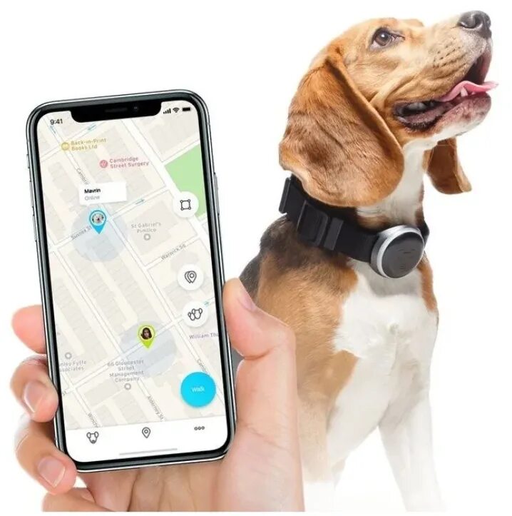 Gps трекер для животных. Gps трекер mishiko. gps трекер для собак. mishiko gps трекер для собак. gps-ошейник ошейник mishiko gps и фитнес-трекер.
