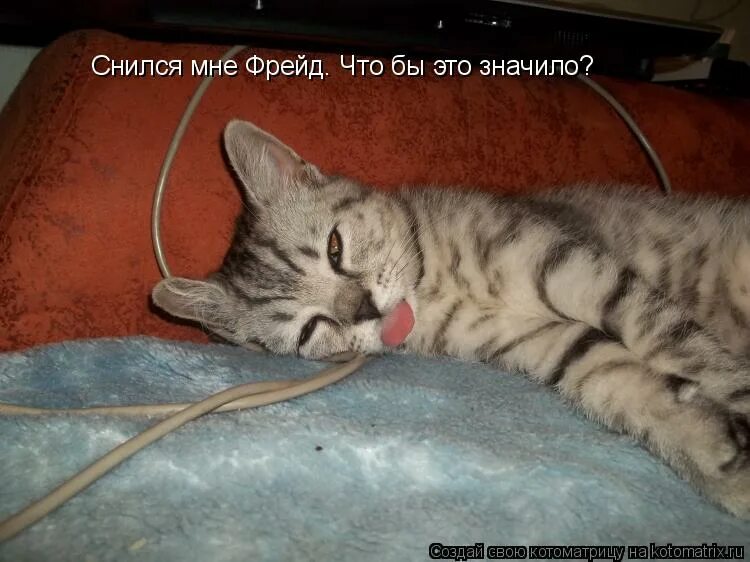Васька упал