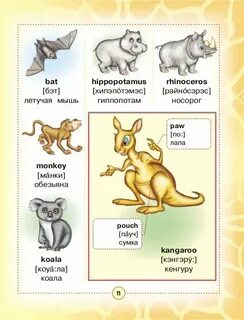 Kangaroo перевод на русский с транскрипцией