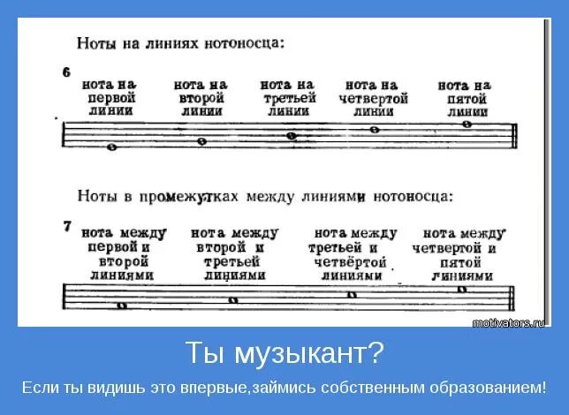 Как продать нот. Шутка ноты. нотные шутки. смешные ноты. ноты юмор.