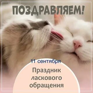 Ласковый быв