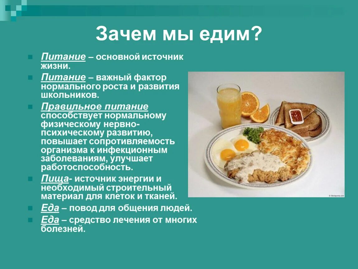 Почему пища необходима человеку. Правильное питание. Правильное питание для здорового образа жизни. Правильное питание школьника. Важность правильного питания.