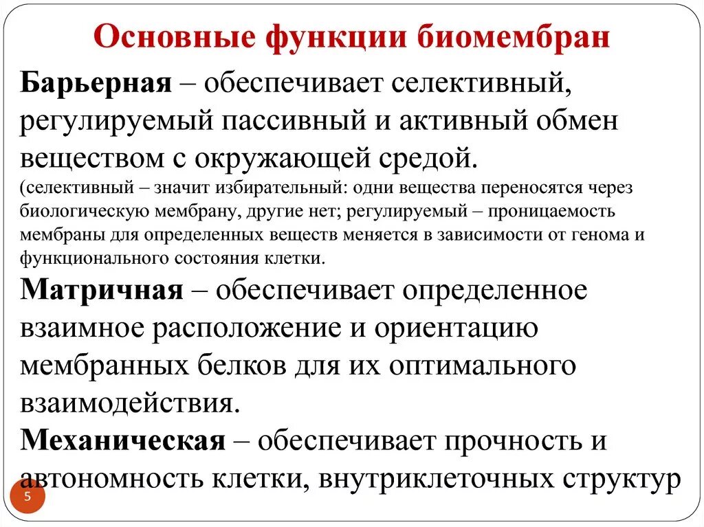 Свойства функции мембраны. Функции биологических мембран. Основные функции биологических мембран. Функции биомембраны. Основные функции биомембран.