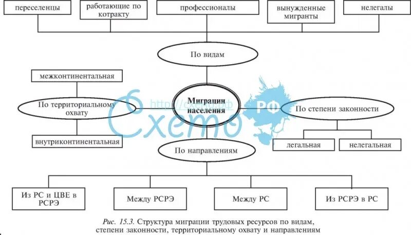 Что такое трудовая миграция каковы ее типы. Структура миграции. классификация трудовой миграции. классификация миграций таблица. трудовая миграция схема.