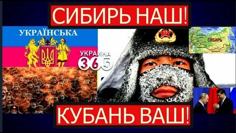 Кубань сибирь