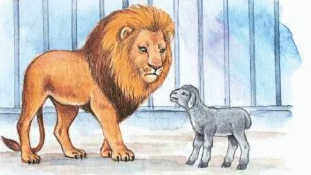 Мини юбкадағы әдемі аққұбалар порно