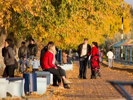 Город осень люди
