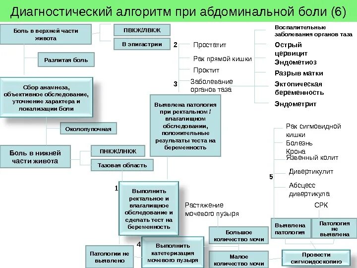 Алгоритм острый живот. Алгоритм диагностики и лечения абдоминальной боли. Алгоритм дифференциального диагноза абдоминальной боли. Алгоритм диагностики при острых заболеваниях живота. Диагностический алгоритм острый живот.