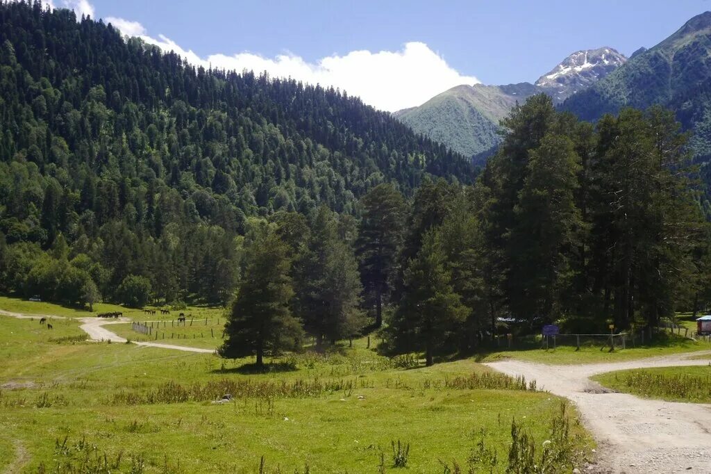 поляны архыза. поляны архыза. поляна таулу в архызе. софийская поляна архыз. поляны архыза.