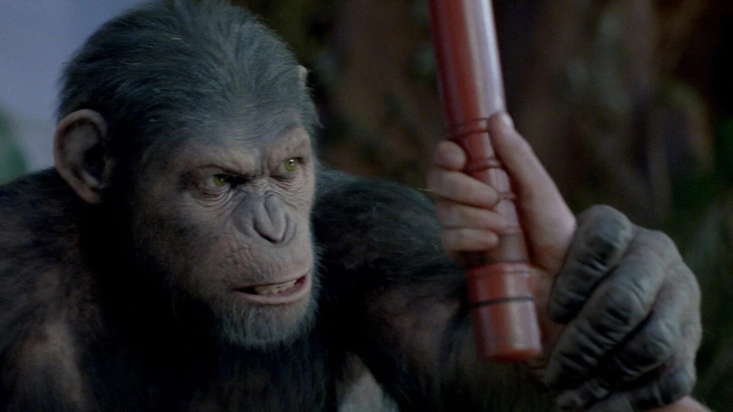 Caesar planet of the apes