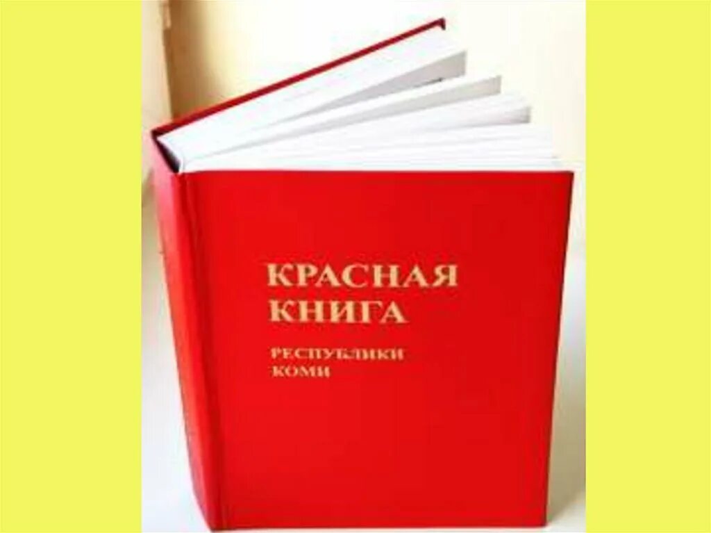 Пиши красная книга. Красная книга Республики Коми книга. Обложка красной книги Республики Коми. Красная книга книга. Красная книжка.