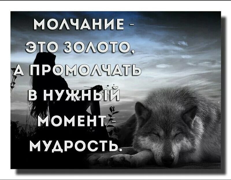 Иногда молчание. Лучше промолчать цитаты. Мудрость промолчать. Мудрость про молчание. Красивые статусы.