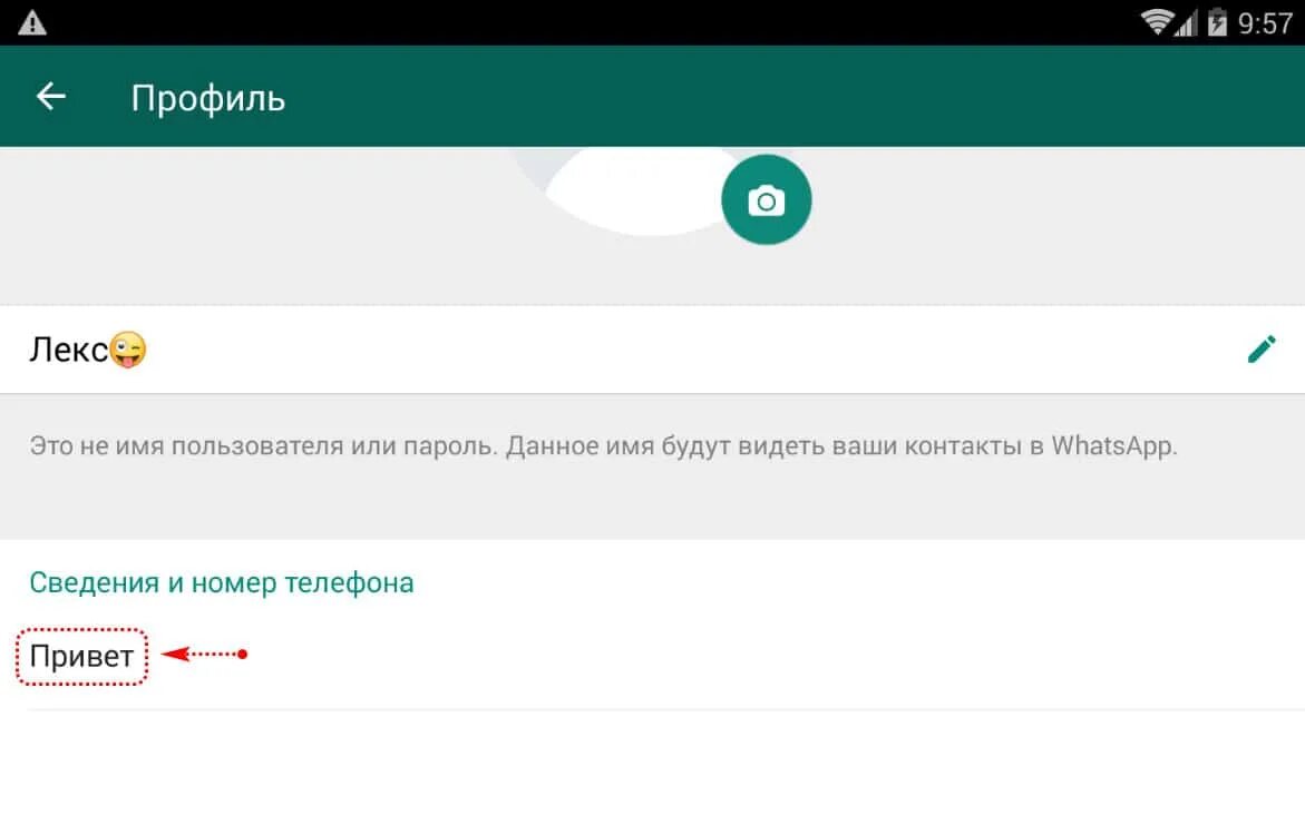 Сведения в ватсапе. Сведения в вацапе прикольные. Прикольные сведения для ватсапа короткие. Сведения в ватсапе красивые короткие.