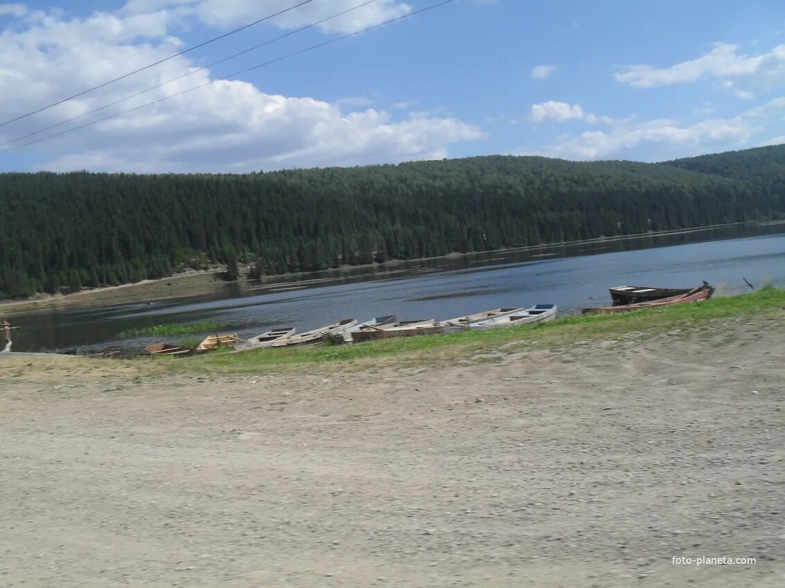Красноуфимская сарана. Красноуфимская сарана
