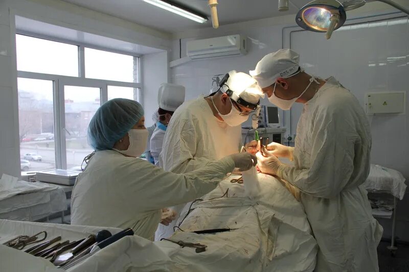 врачи краевой клинической больницы барнаул. краевая больница гнойная хирургия красноярск. краевая больница барнаул хирургия. хирургическое отделение краевой больницы барнаул. рубцовсе хирург байкин.