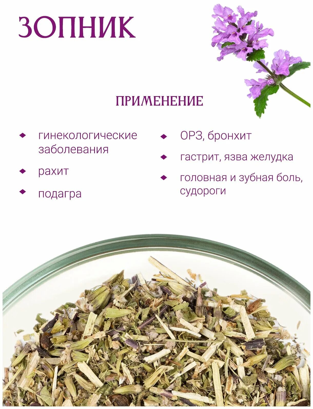 Трава железняк (зопник клубненосный): лечебные свойства, противопоказания, показ