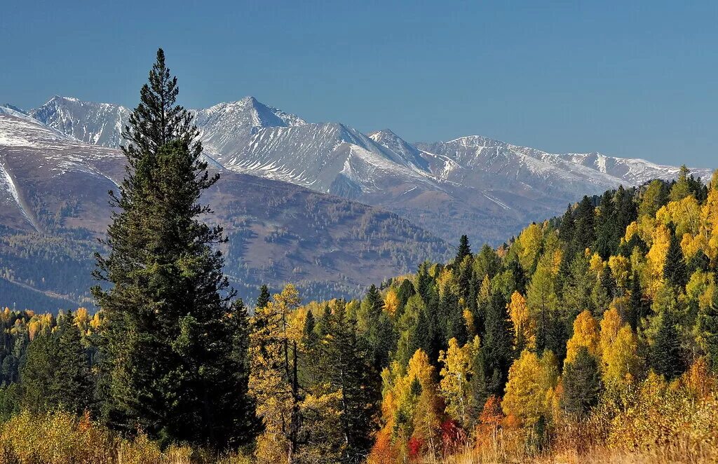 Какое время в алтае. Алтай горы чуйский тракт. Какое время в алтае. Река вдоль чуя. Алтай виды природы.