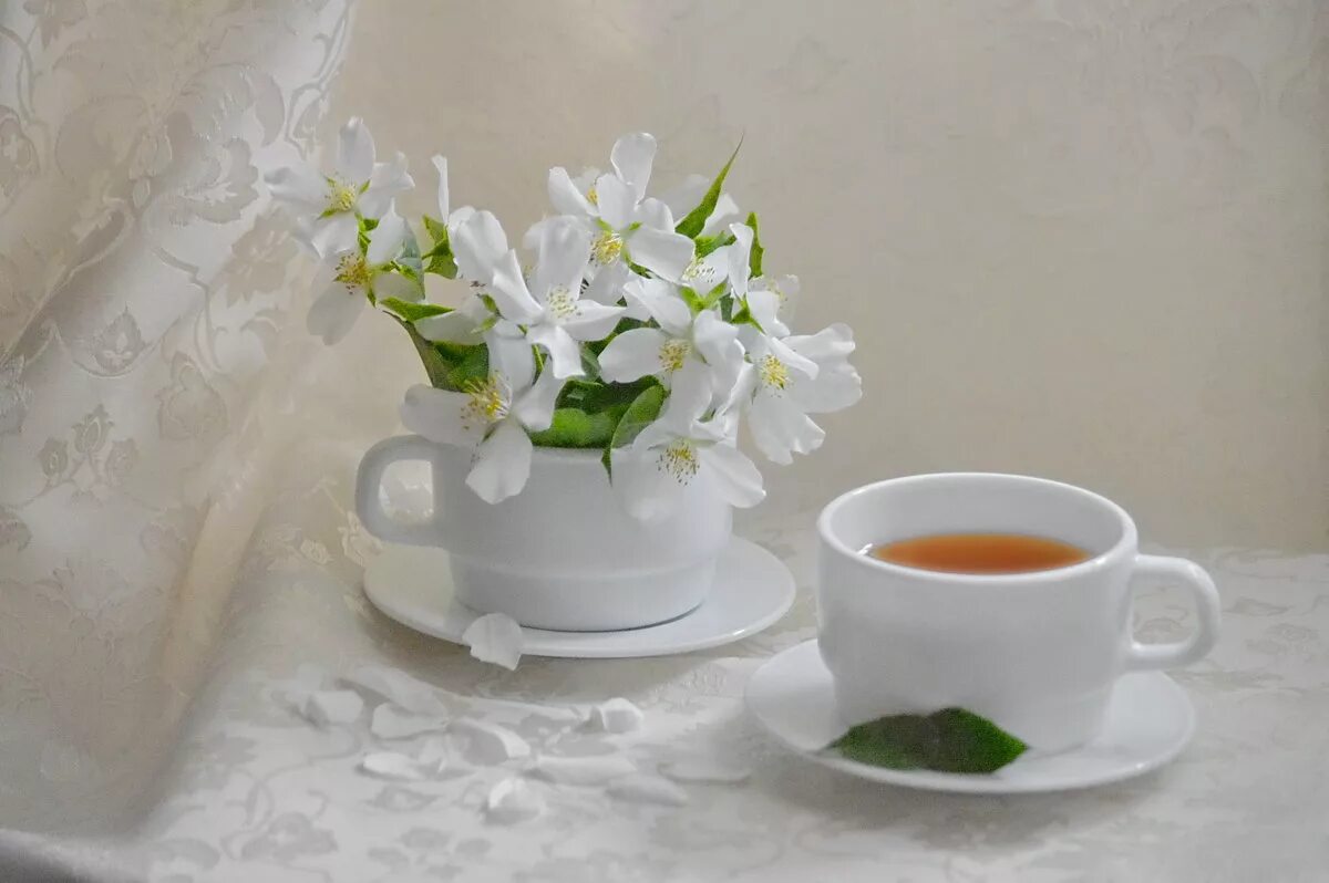 Подснежники и чай. Натюрморт Весеннее настроение. Нежные цветы в чашке. Весеннее чаепитие. Песня нежная чае