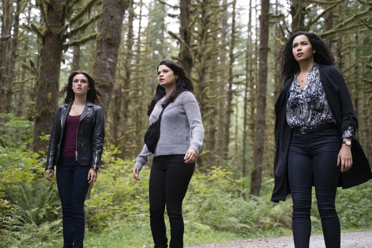 зачарованы 2018