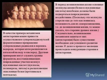 Имеет значение предложение 1 зародилась культура