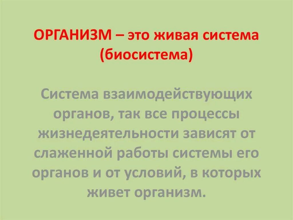 Организм это в биологии. Живой организм что это такое. Что такое живой организм 5 класс биология. Живой организм что это такое. Живой организм что это такое.