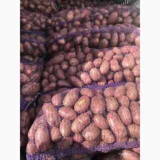 Куль картошки