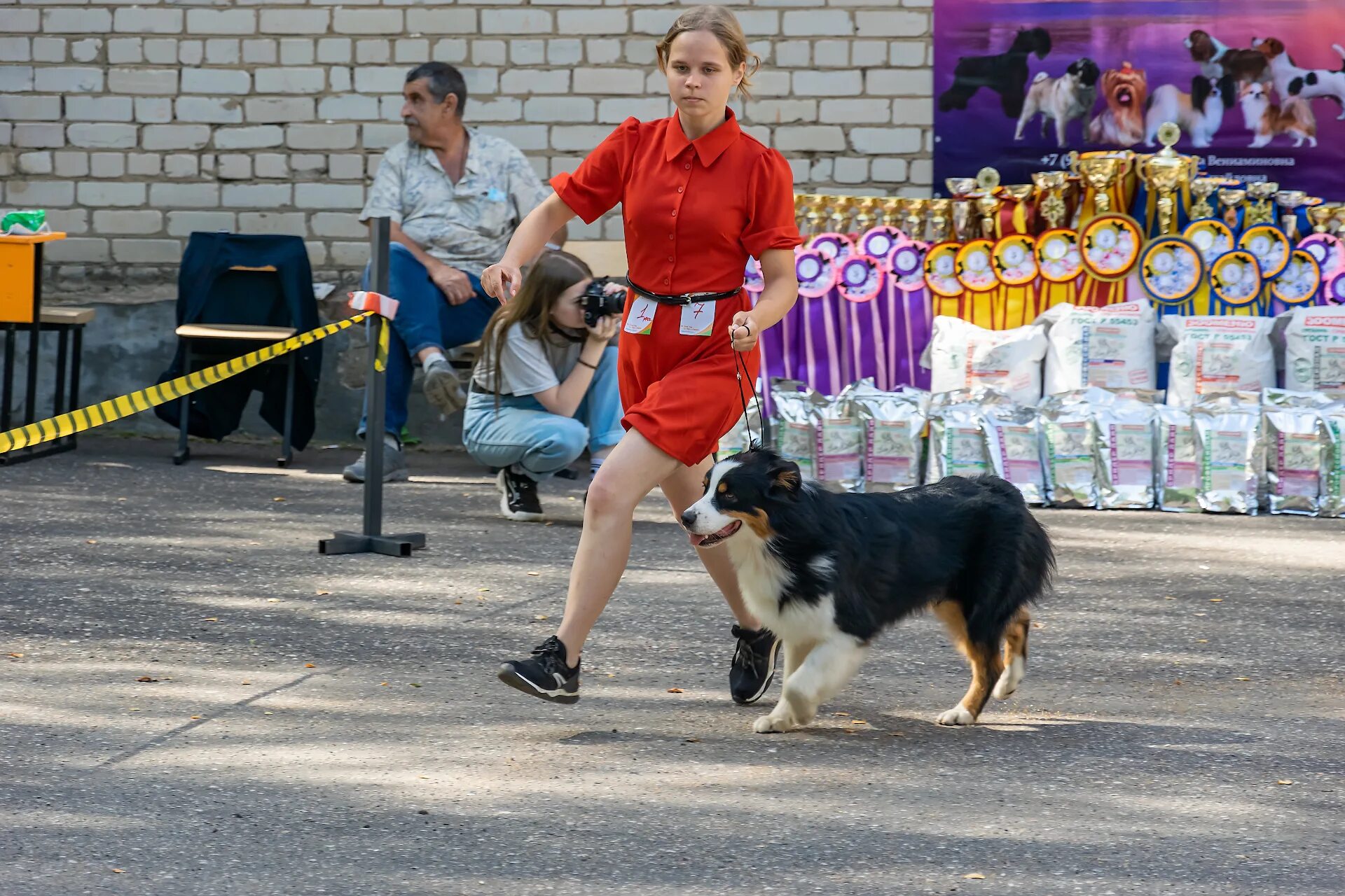 23 выставка собак москва. На выставке собак. Выставка собак под дождем. Выставка собак в Кимрах. Развлечения в европейских выставка собак.