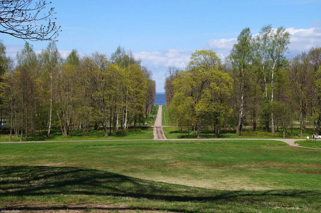 Луговой парк. Луговой парк в Петергофе. Александрия парк Петергоф качели. Луговой парк Петергоф Никольский домик. Луговой парк в Петергофе фото.