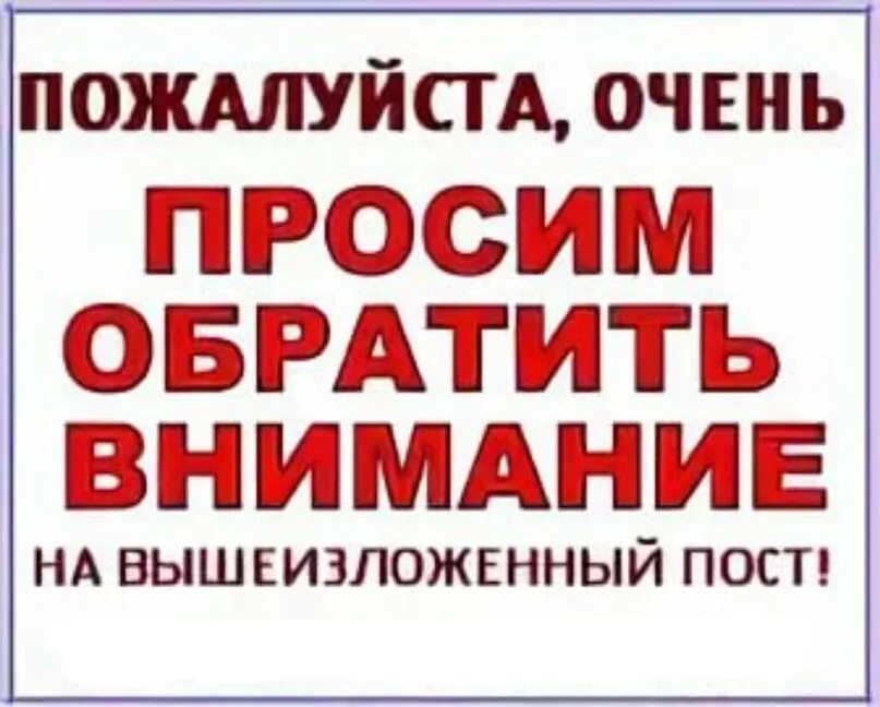 Просим помочь. Просим помощи в оплате. Просим помощи в оплате передержки. Помогите в оплате передержки. Помогите оплатить долг за передержку.