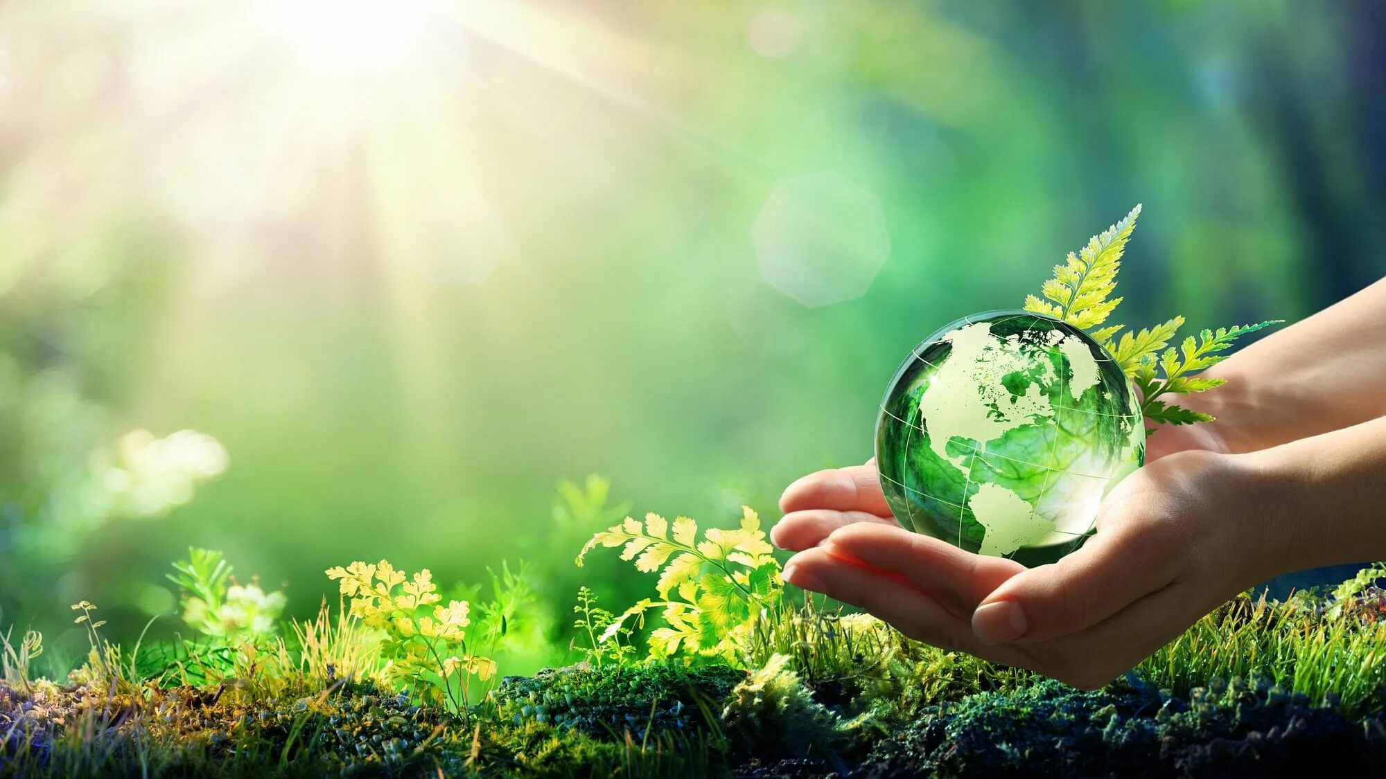 C get environment