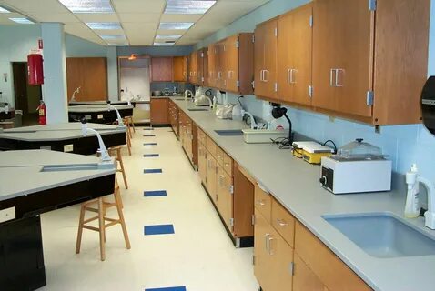 Kitchen lab