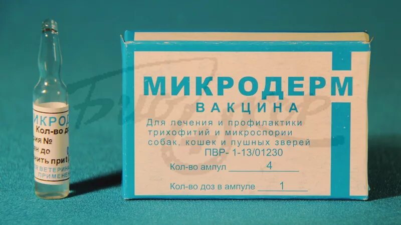 Вакцина гексаканивак. Микродерм, 1 мл, уп. 4 Ампулы. Микродерм вакцина. Вакцина микродерм для собак. Микродерм вакцина для кошек.