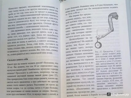 Весы верные гири верные