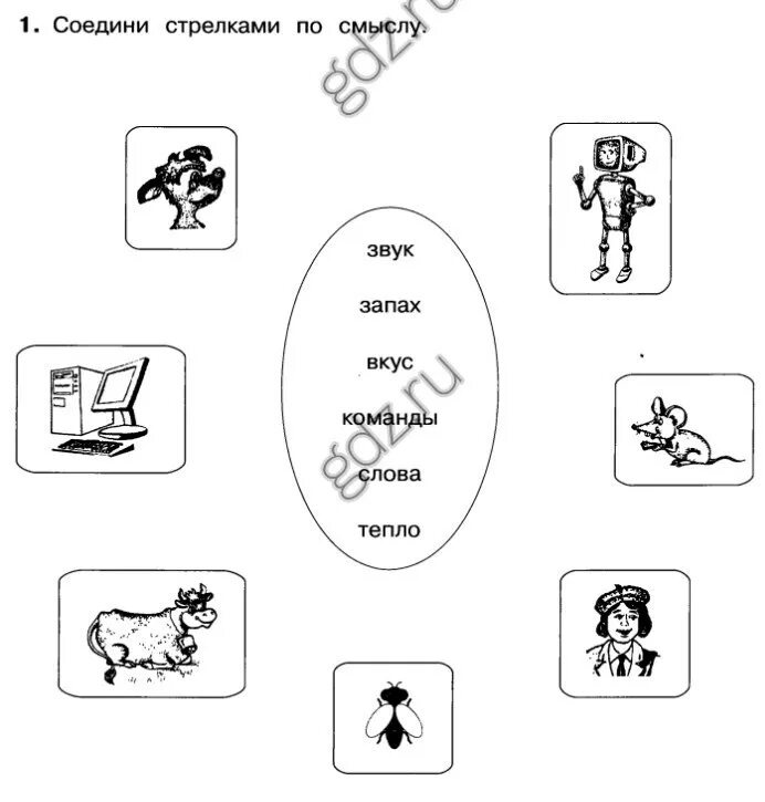 Соедини стрелками изображения способов добычи. Соедини стрелками по смыслу. Задания Соедини стрелками. Соедини стрелками по смыслу Информатика. Соедини стрелками по смыслу звук запах вкус.