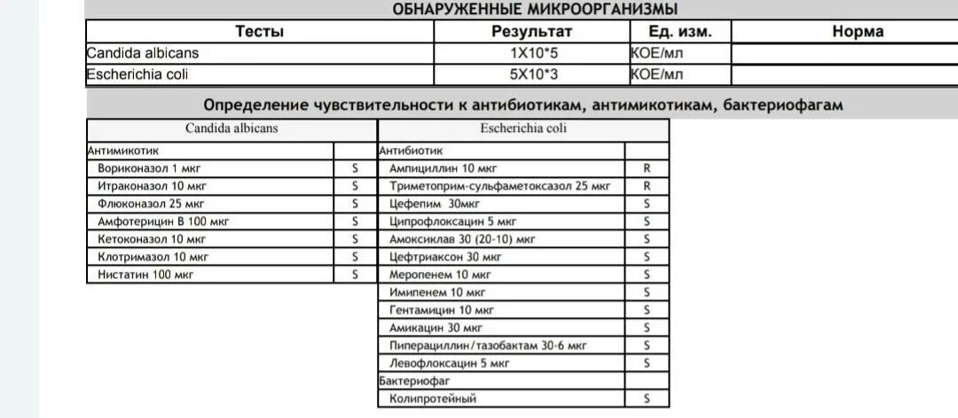 Escherichia coli что это у мужчин. Escherichia coli 10 5 кое мл в моче. Escherichia coli в мазке у ребенка 10 в 6. Норма кишечной палочки в мазке у женщин показатели. Escherichia coli 10 3 кое/мл.