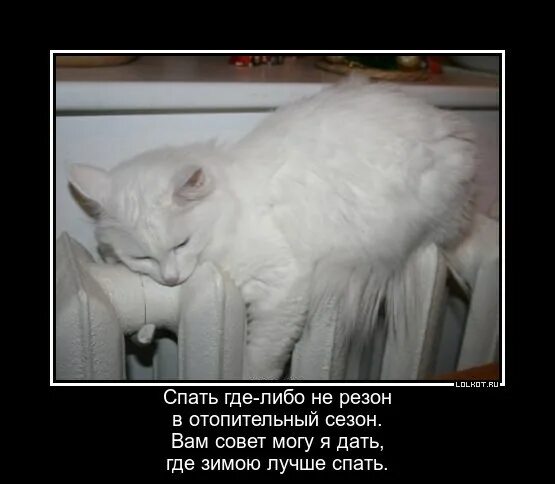 Больше не греет. Деньги не из воздуха берутся мем. Батарея греет. Больше не греет. Больше не греет.