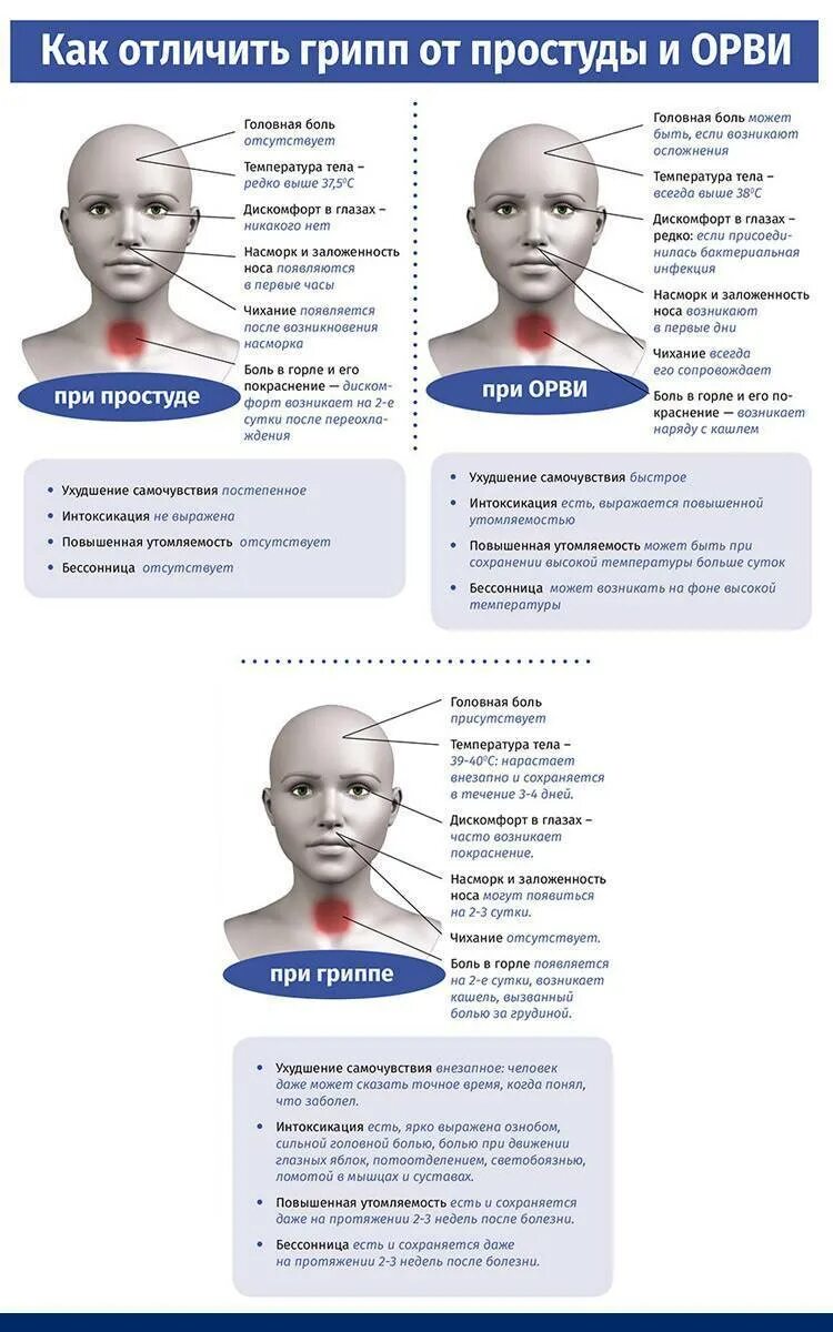 Простуда головы что делать. Локализация головной боли при гриппе. Типы и симптомы головных болей. ОРВИ головная боль. Припростуже болит голова.
