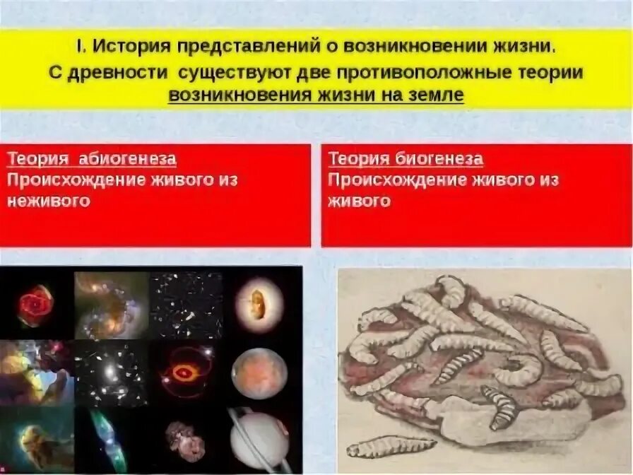 Представление о возникновении жизни в истории естествознания. Современные представления о возникновении жизни. Представления о возникновении жизни на земле. Современные представления о происхождении жизни. Современные представления о зарождении жизни на земле.