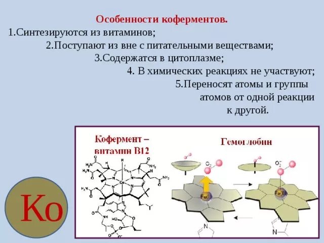 Коферменты витаминов. Регуляторы биомолекулярных процессов. Классификация коферментов биохимия. Регуляторы биомолекулярных процессов таблица.