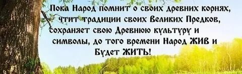 Афоризм традиция